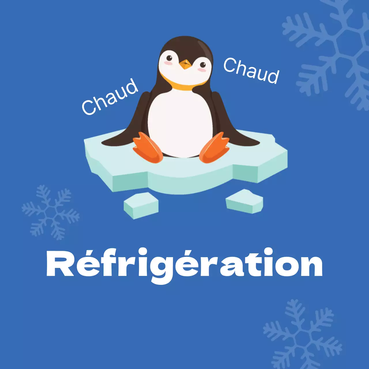 Entreposage frigorifique Pingouin