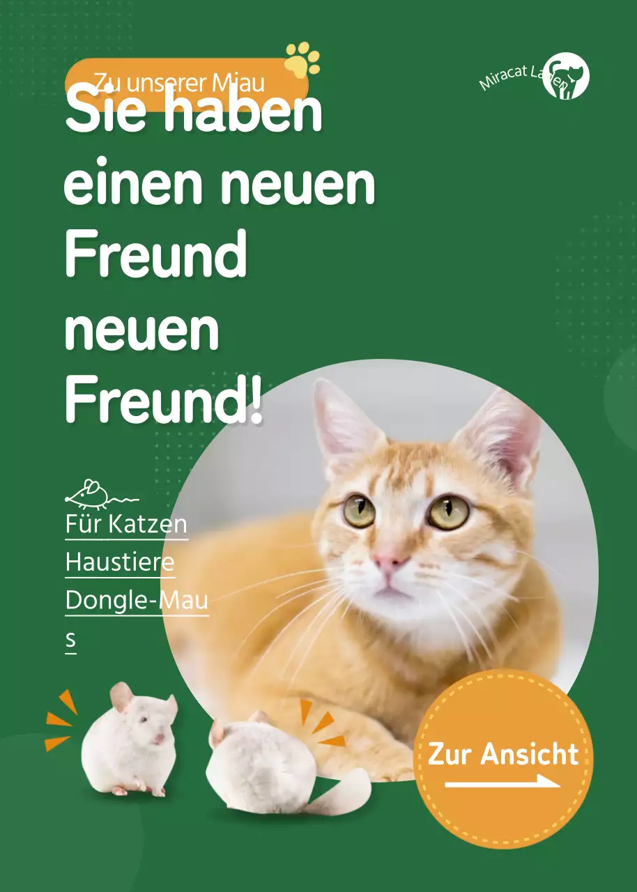 Förderung des Kaufs von grünem Katzenspielzeug und Plüschtieren
