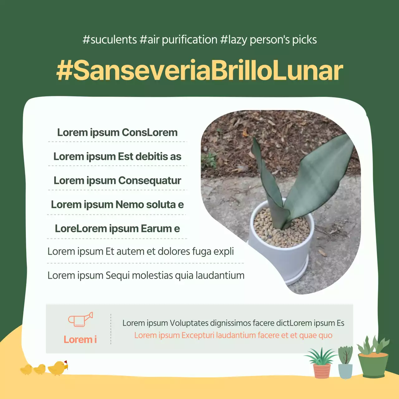 Tarjeta verde y amarilla de recomendaciones para mascotasDiseño de noticias