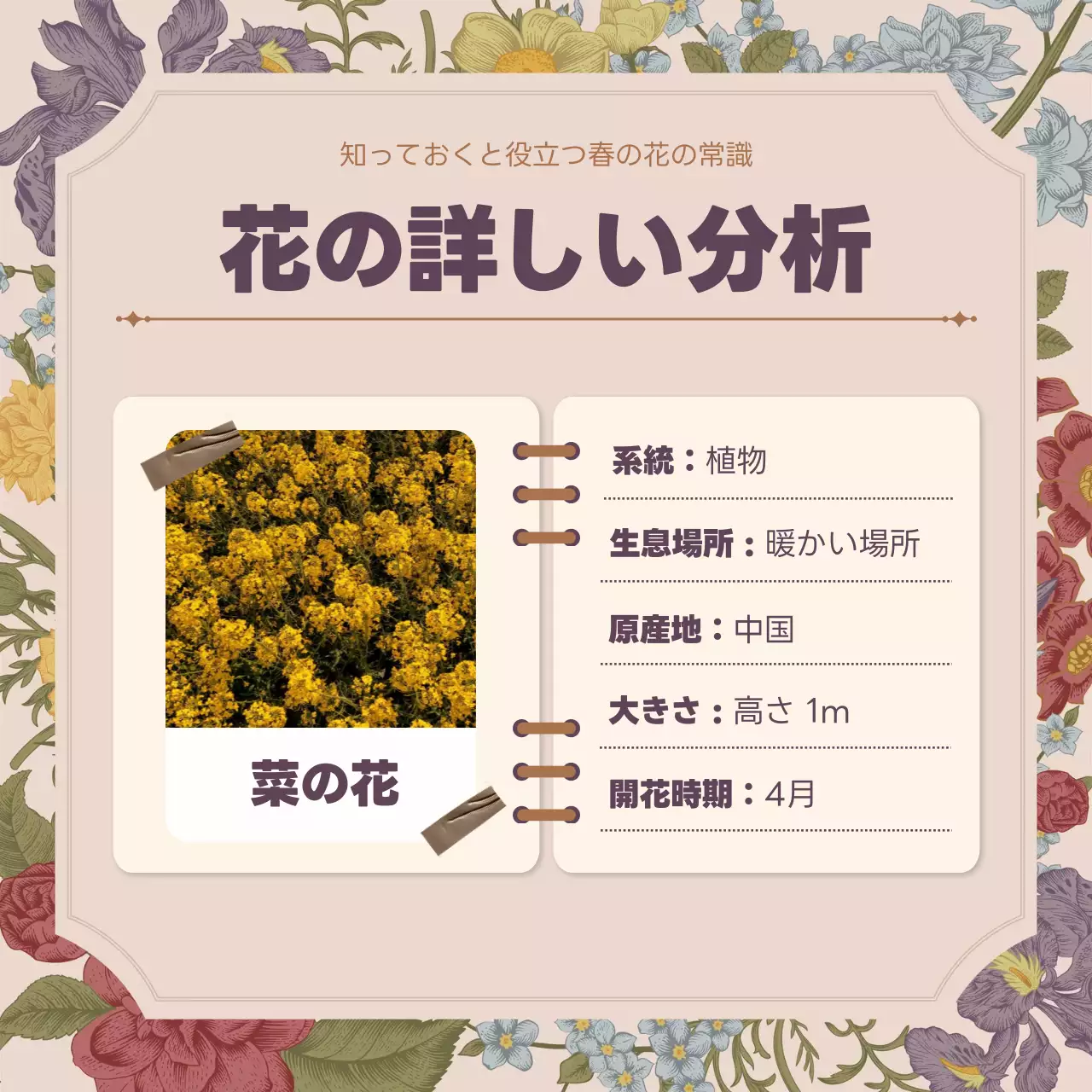 カラフル 上品 花 パンフレット Instagram カルーセル