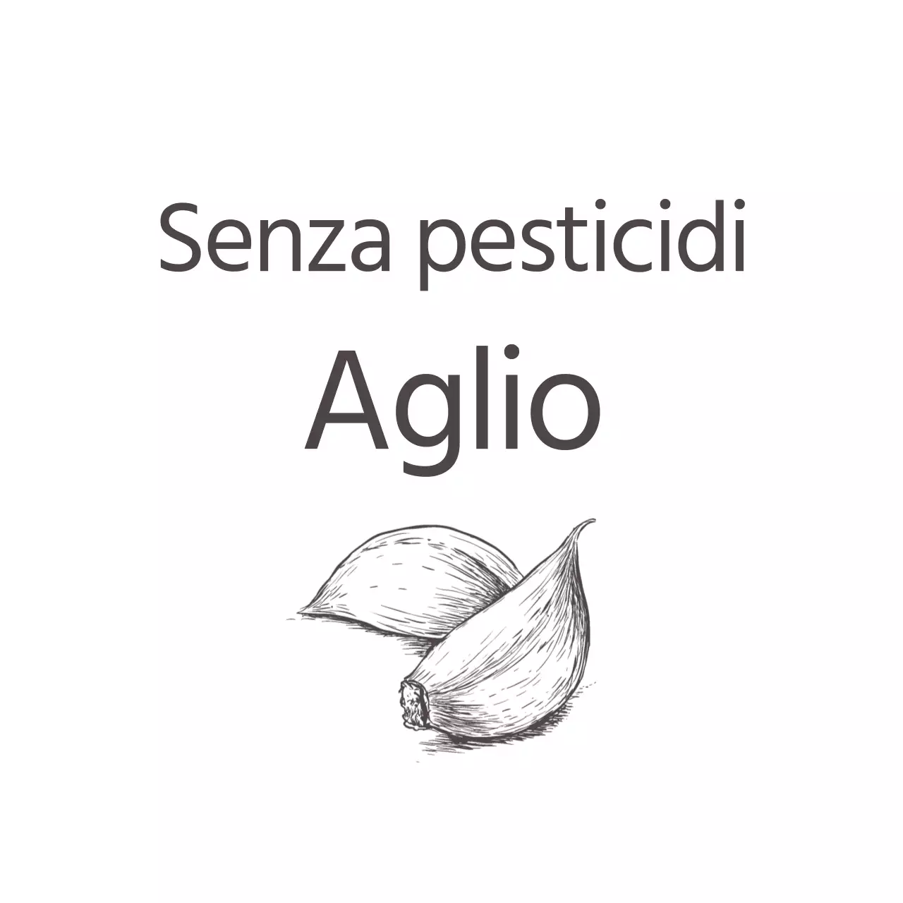 Promuovere la certificazione di assenza di pesticidi con un testo grigio scuro e un'illustrazione di aglio.