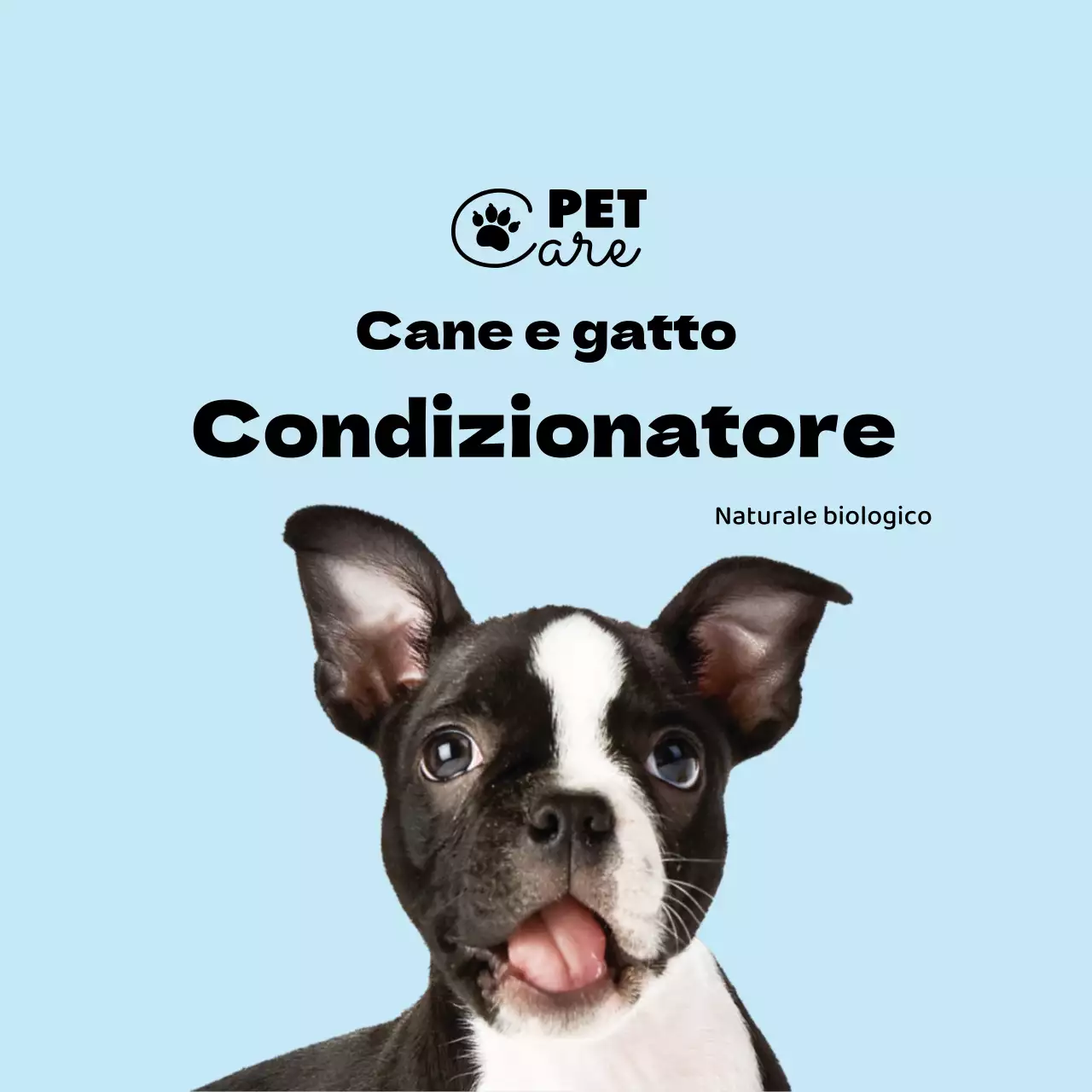 etichetta semplice per animali domestici con logo azzurro