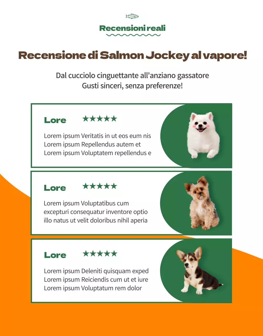 Informazioni su Orange Colour Points Premium Pet Food (pagina dettagliata)