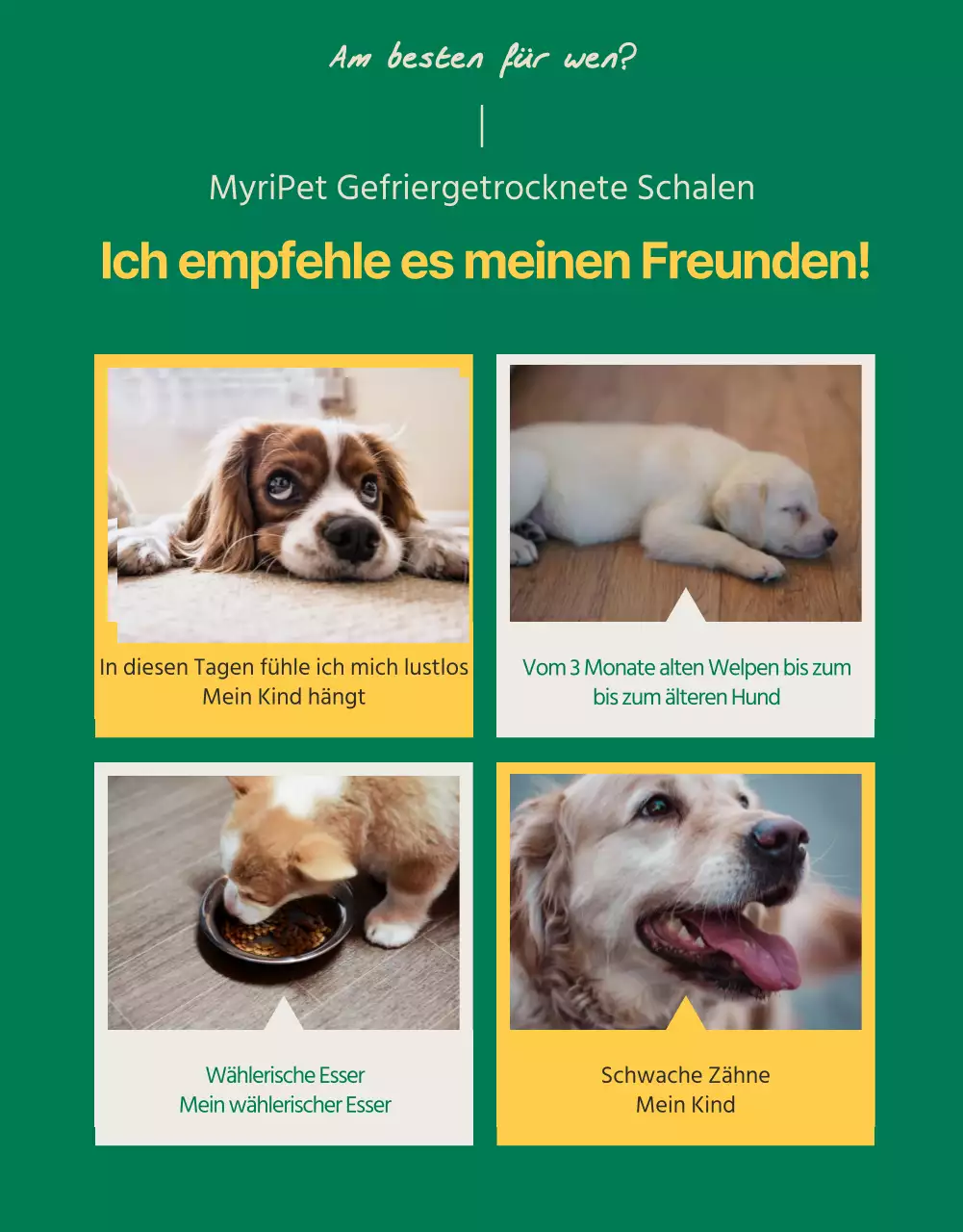 Niedliche gelbe und grüne Leckerbissen für Haustiere