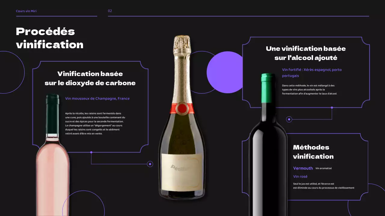 Séminaire de cours de brassage de vin dans les tons noirs et violets