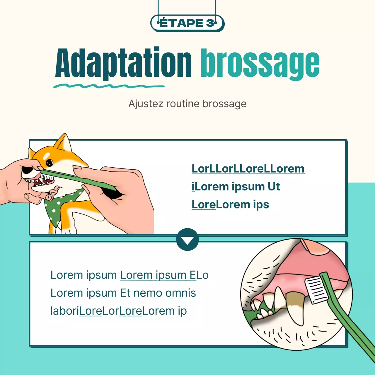 Brossage de chien illustré en menthe et jaune