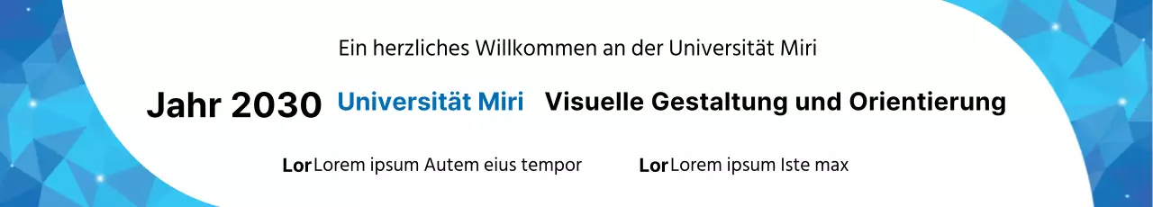 43125_Università Otti