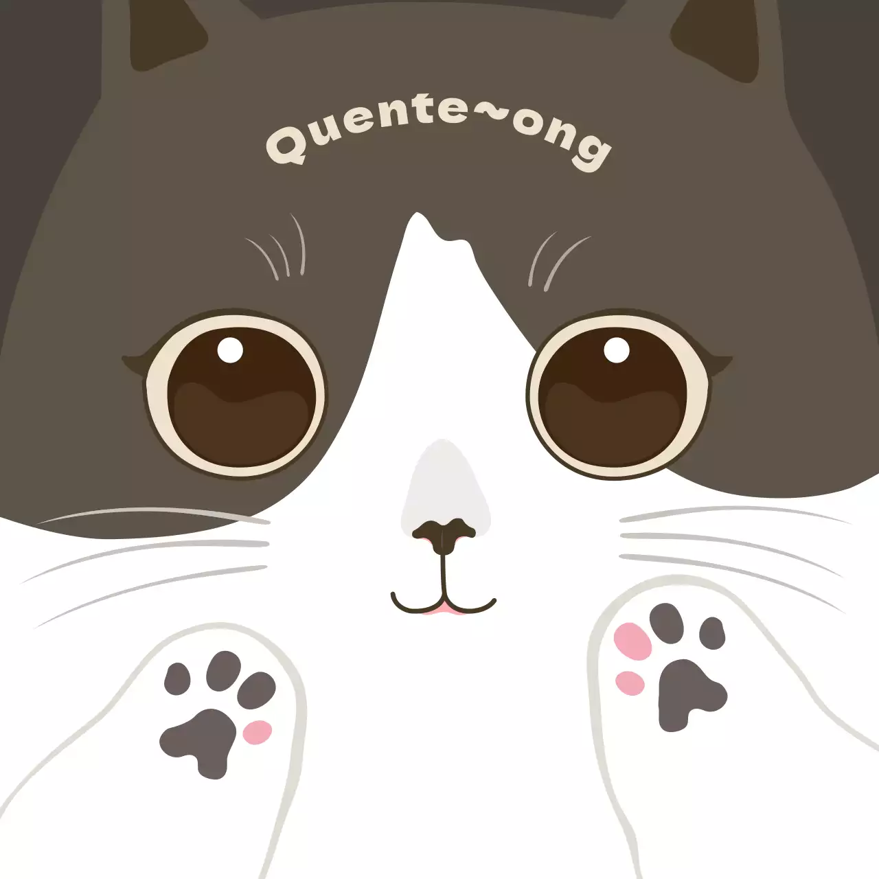 Gato