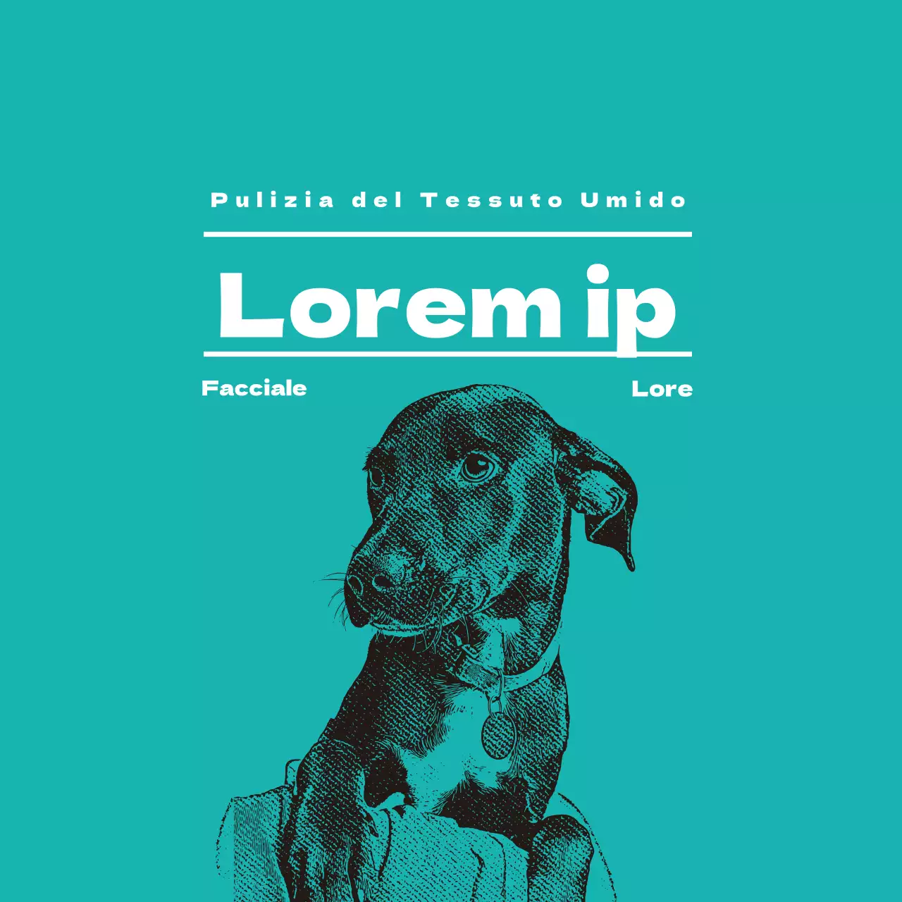 Etichetta illustrata turchese del negozio di animali