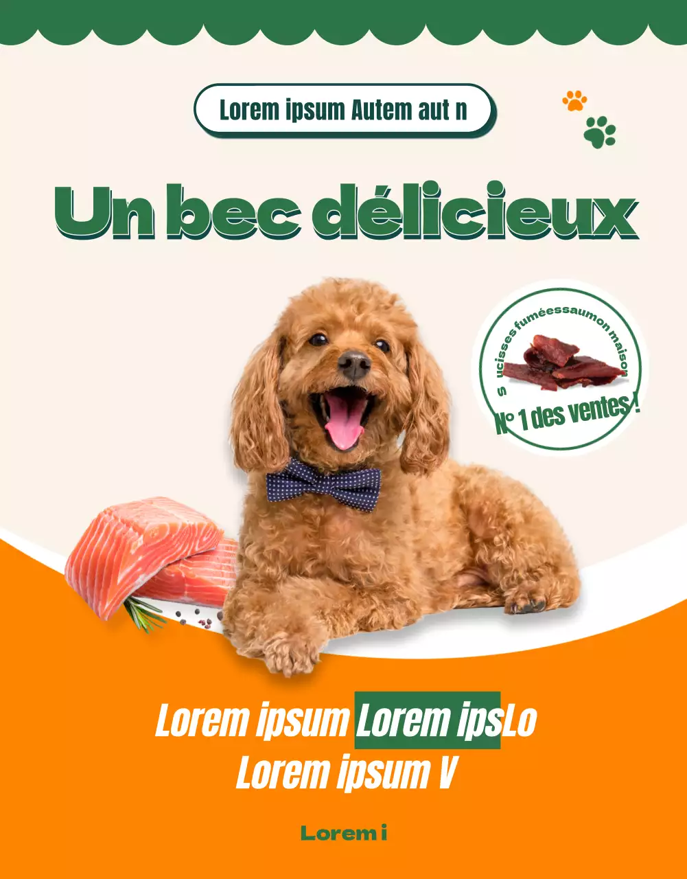 À propos de Orange Colour Points Premium Pet Food (page détaillée)
