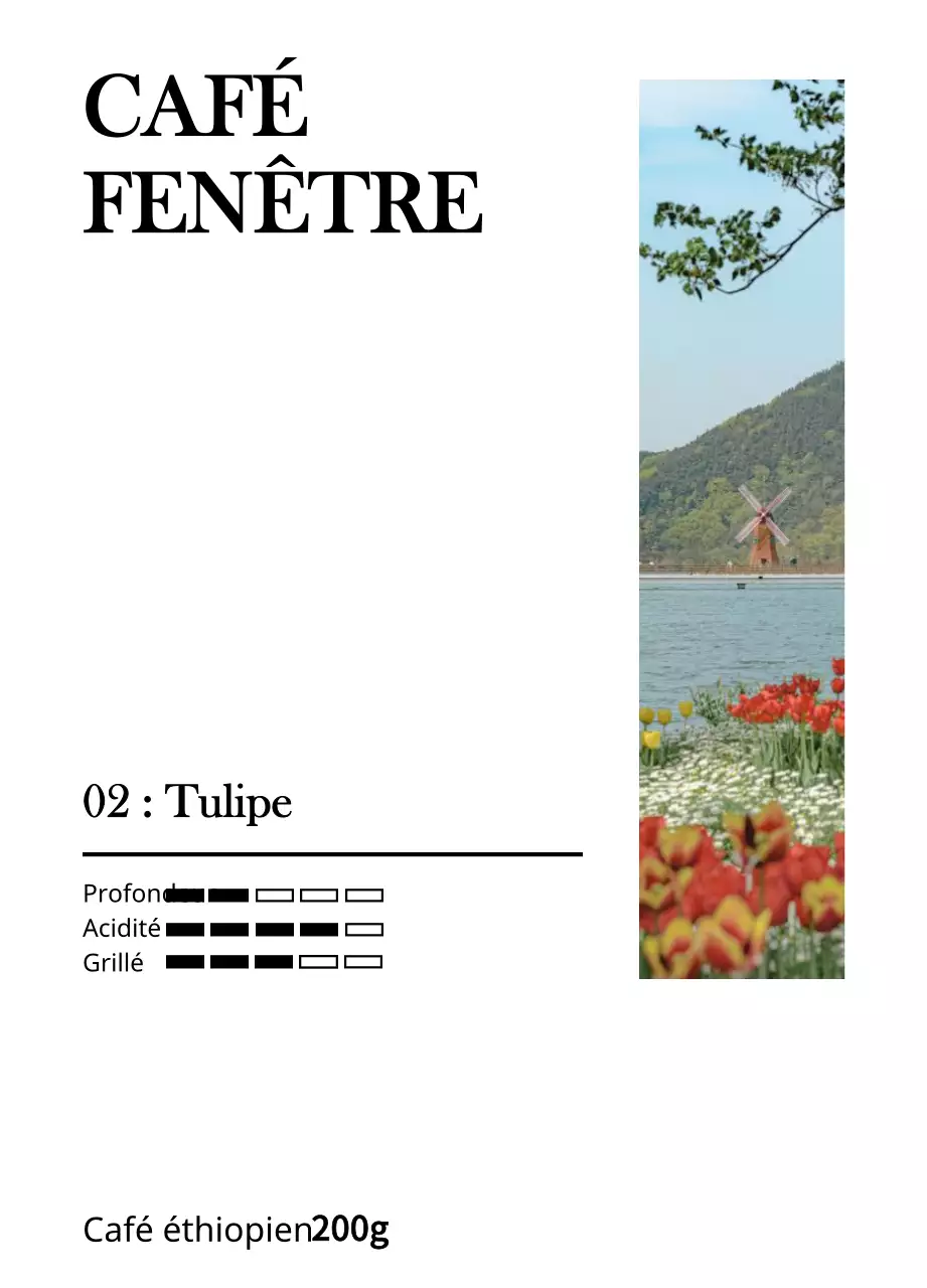 Un dessin simple avec une tulipe noire, photo de paysage de tulipe vintage