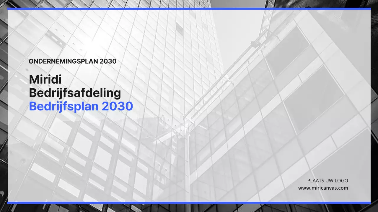 Bedrijfsplan Bluetone IT