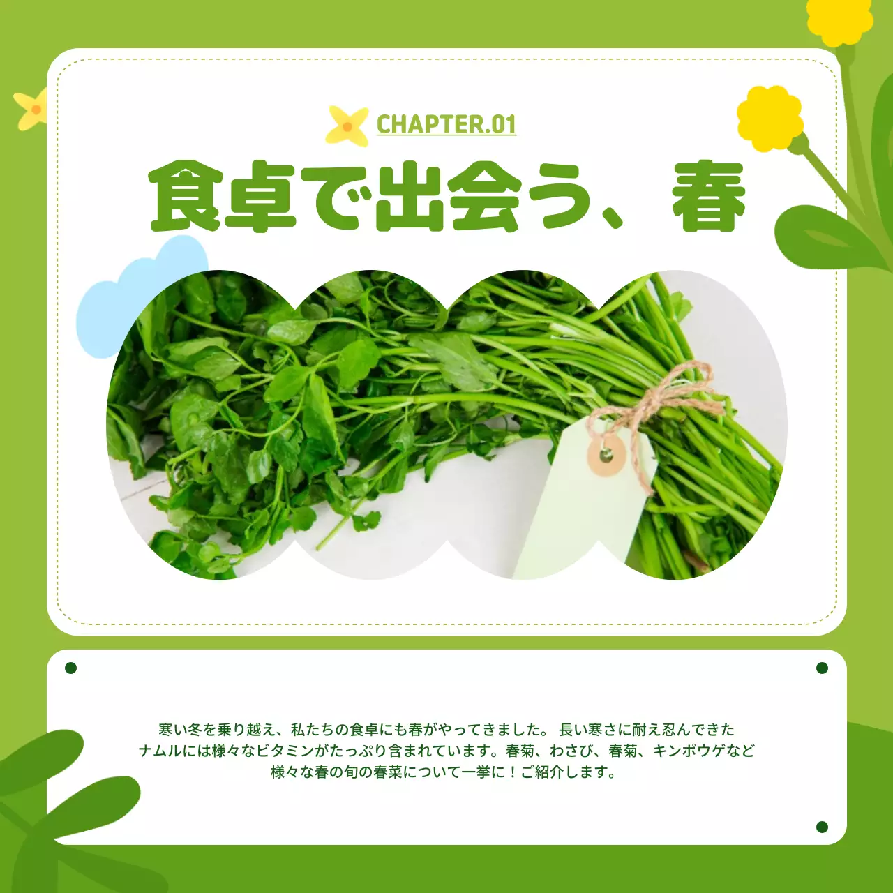 カラフル かわいい 春野菜 パンフレット Instagram カルーセル