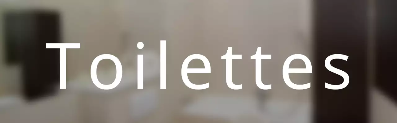 Orientation du texte des toilettes dans un style simple