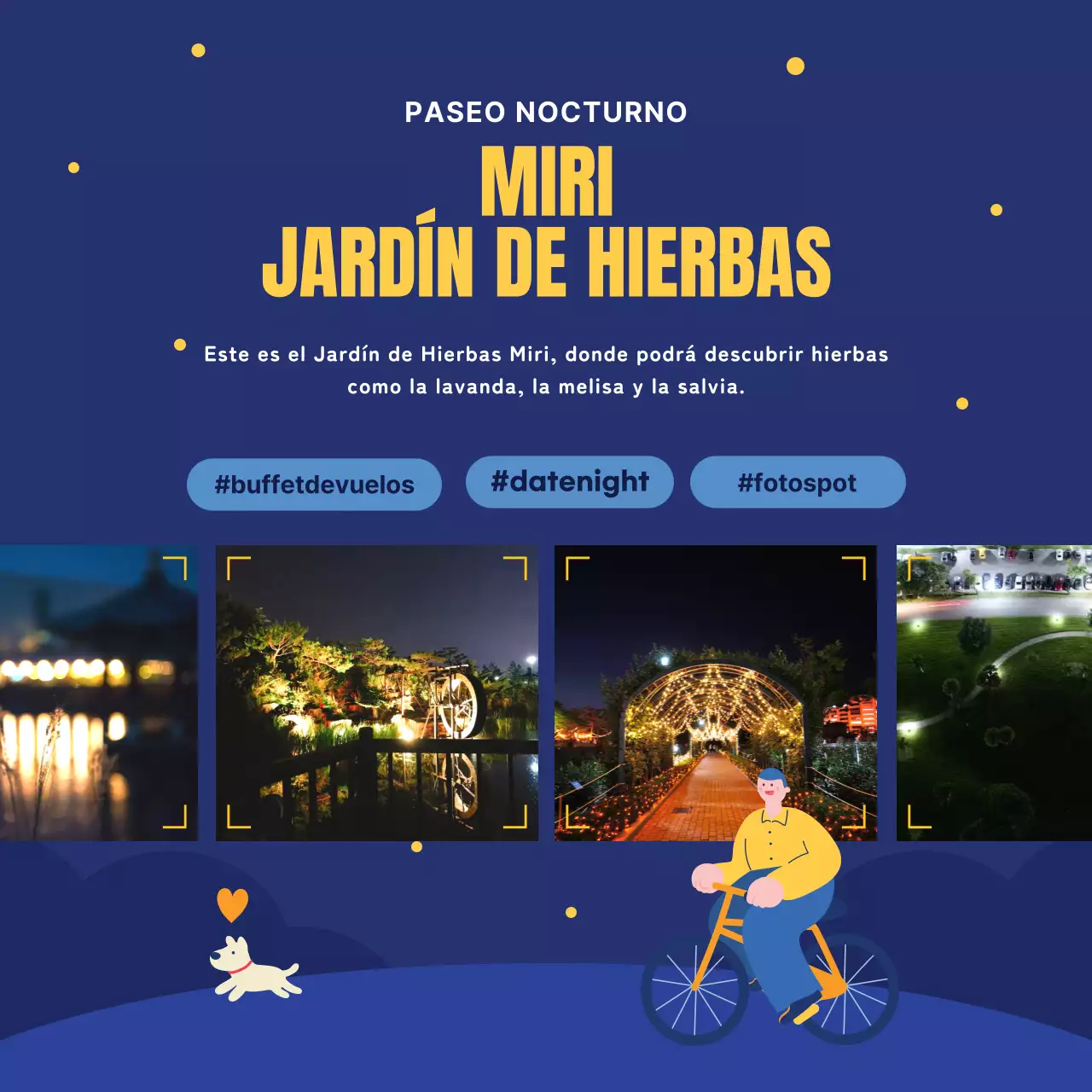 Guía de atracciones nocturnas azul marino y amarillo