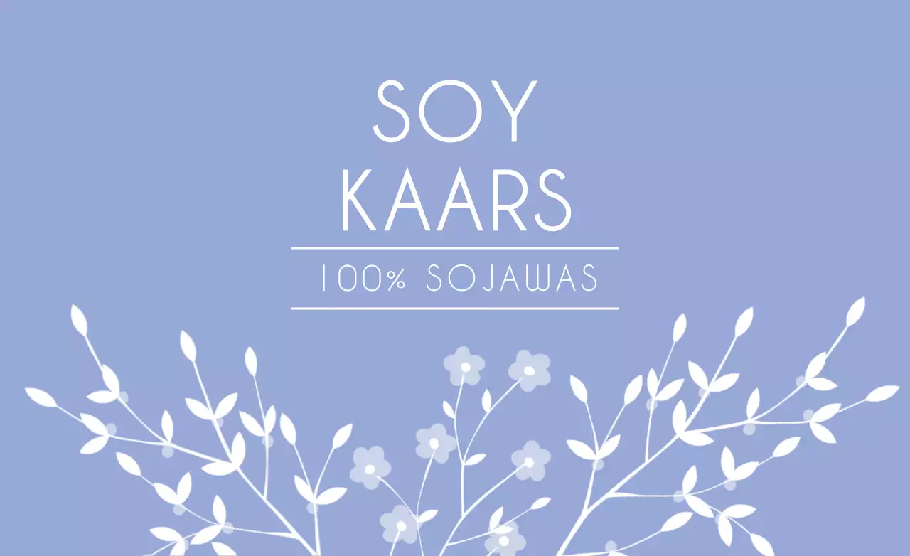 100% SOY WAS