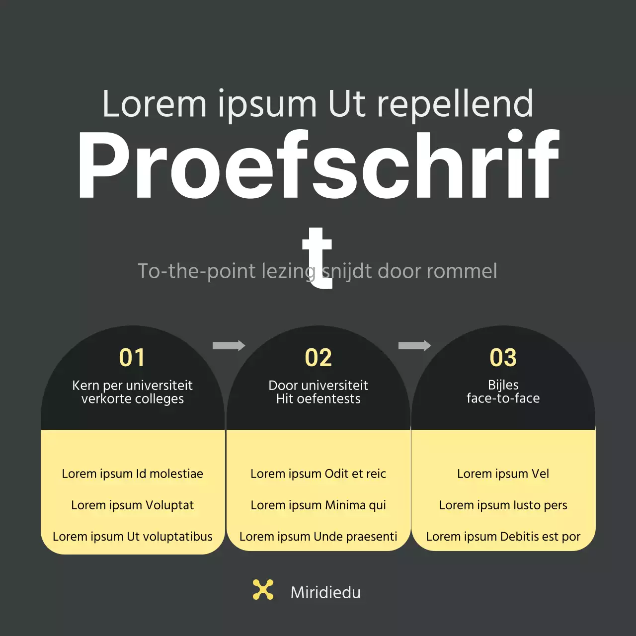 Essay Schrijven School