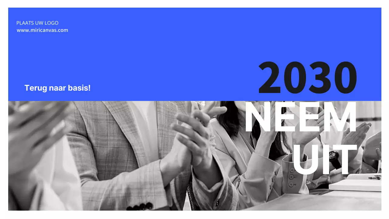 Bedrijfsplan Bluetone IT