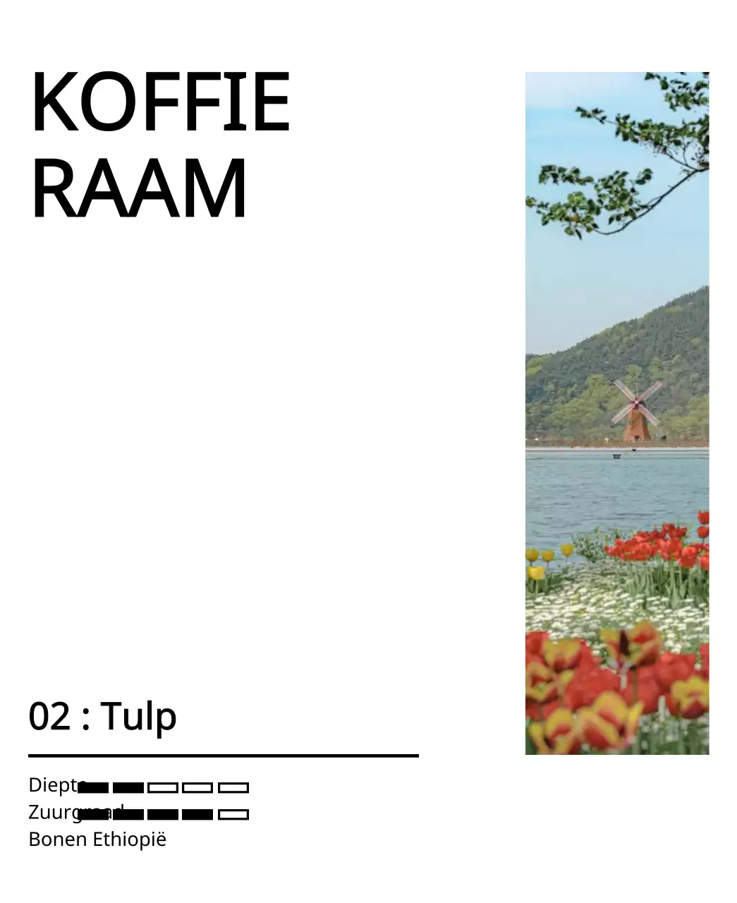 Een eenvoudig ontwerp met een zwarte, vintage foto van een tulpenlandschap