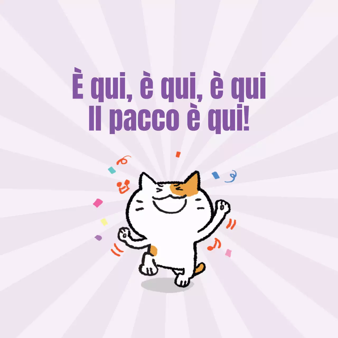 Il pacco è arrivato!