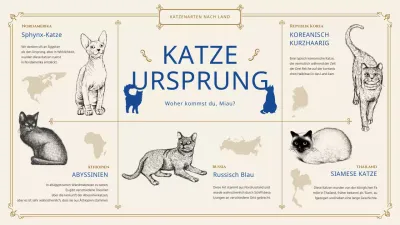 Bereitstellung von Informationen über klassische Katzen