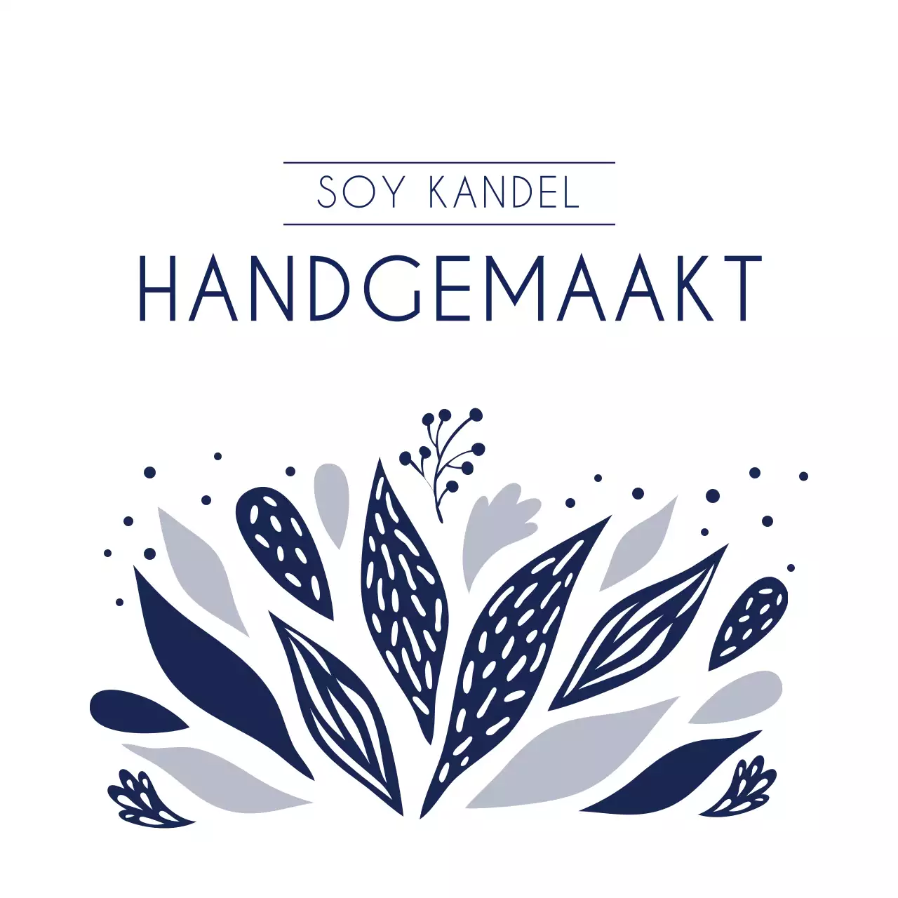 SOY KANDEL