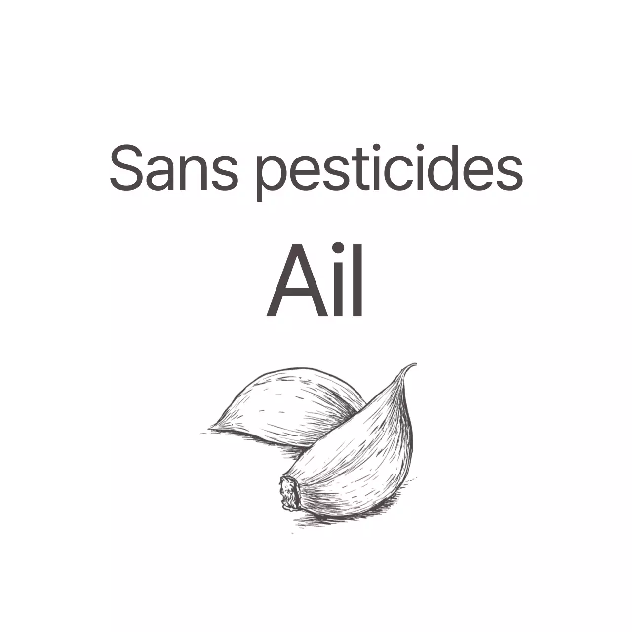 Promouvoir la certification "sans pesticides" avec un texte gris foncé et une illustration d'ail.