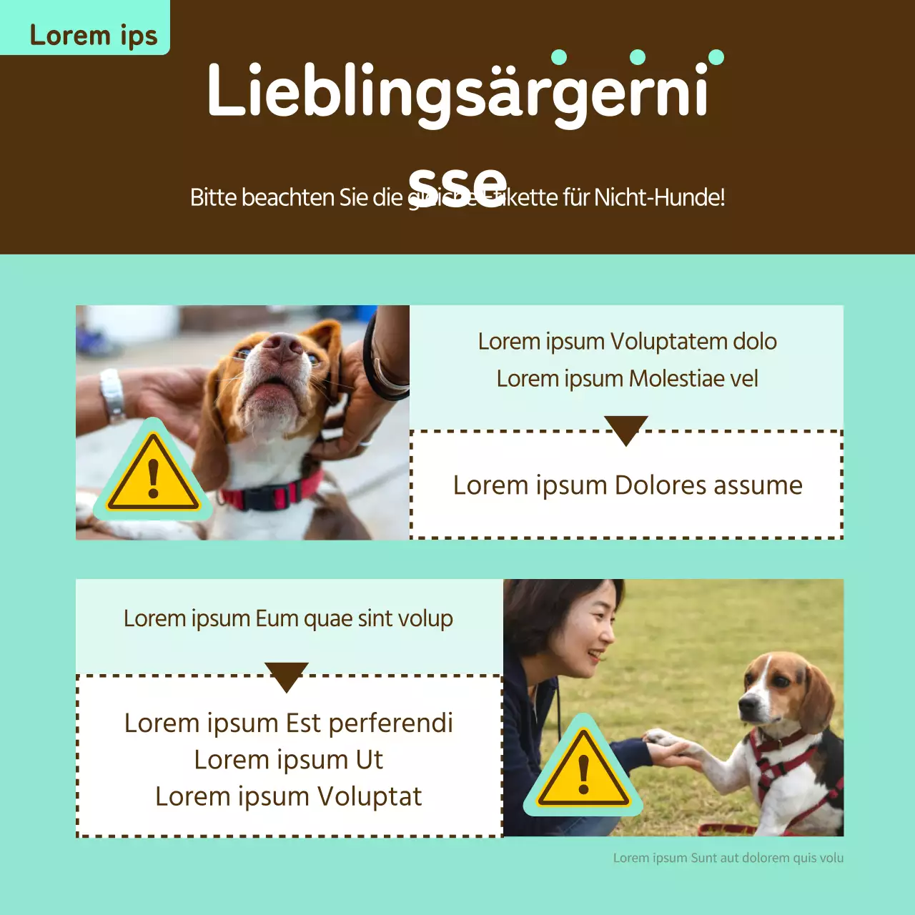 Informationsticket für Haustiere in Gelb und Bronze