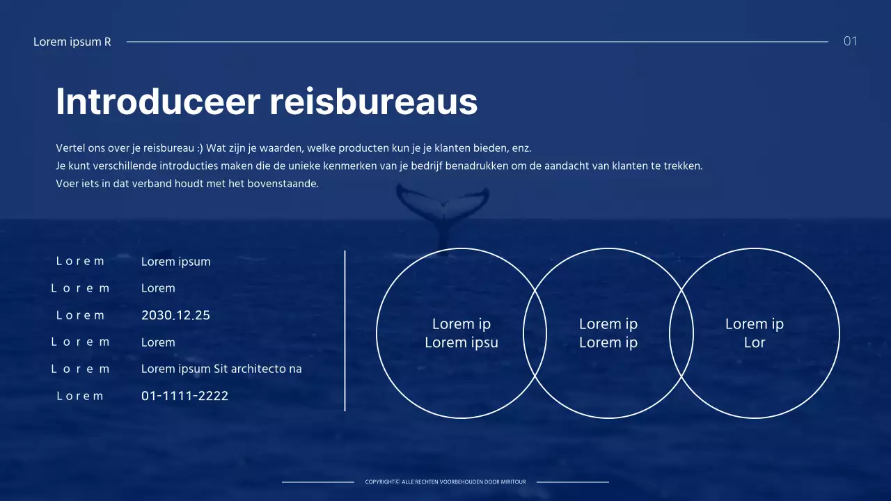 Reisgids met paars thema