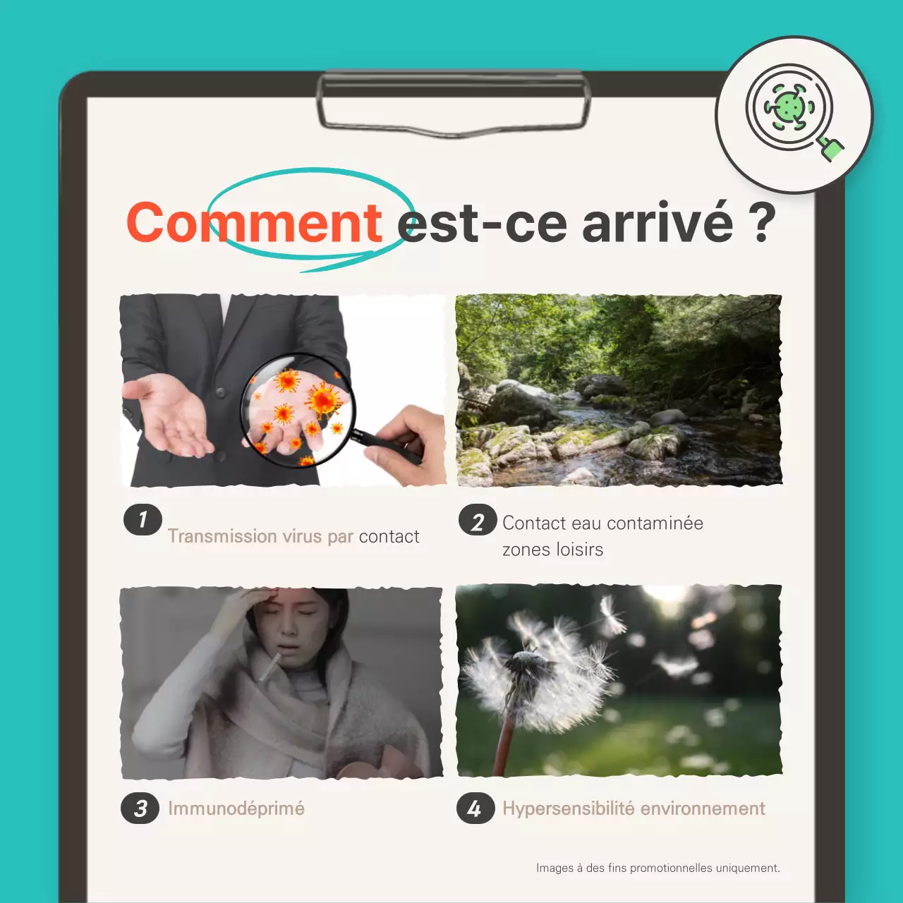 Informations sur les maladies estivales pour le turquoise et l'indigo