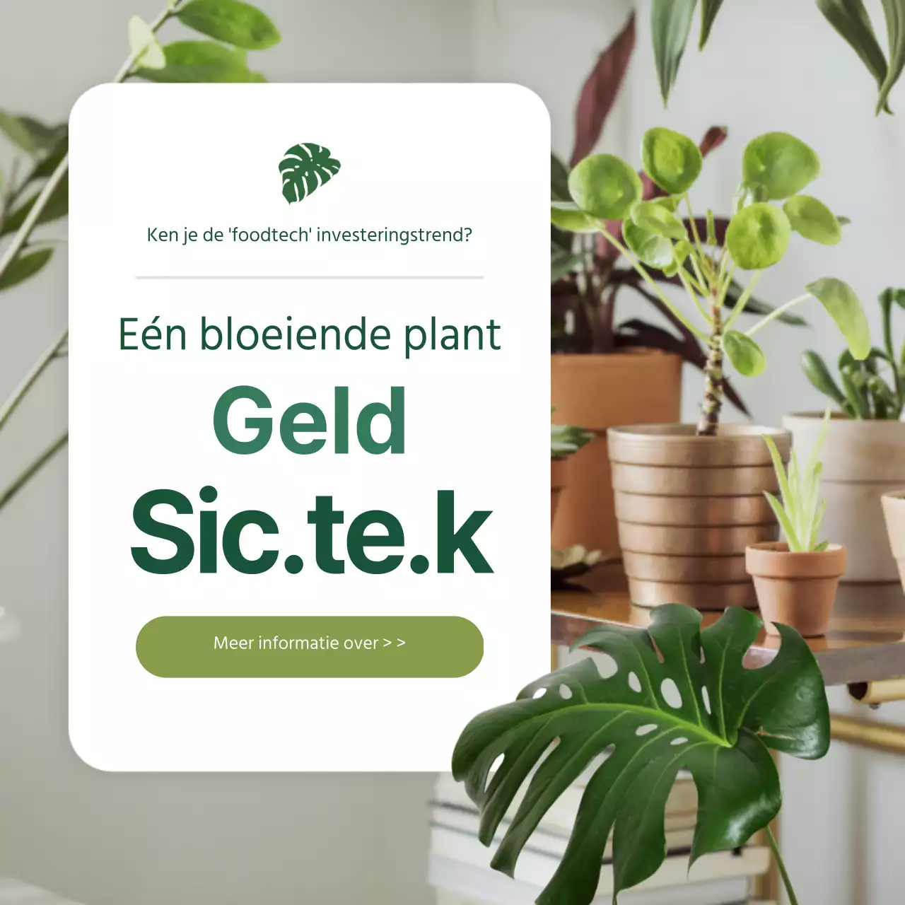 Food tech kaart nieuws ontwerp met een groene twist
