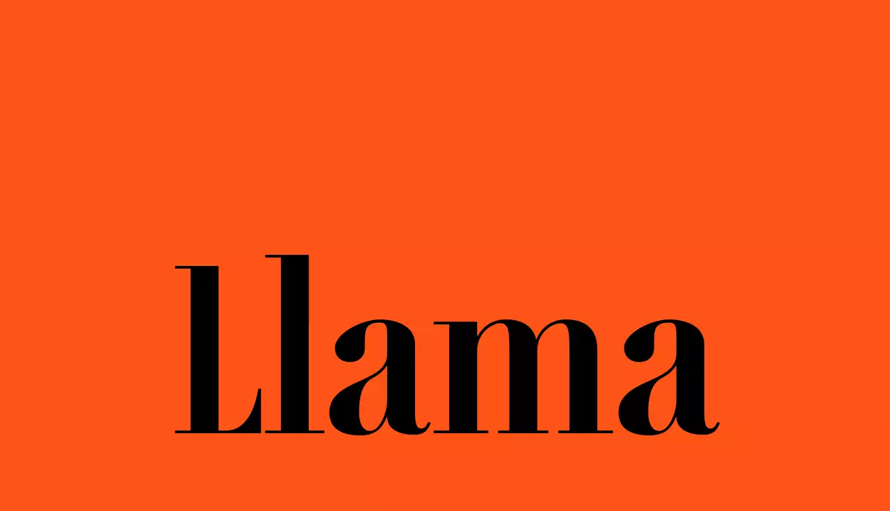 Un estilo atrevido de tarjeta de visita con un toque naranja y negro