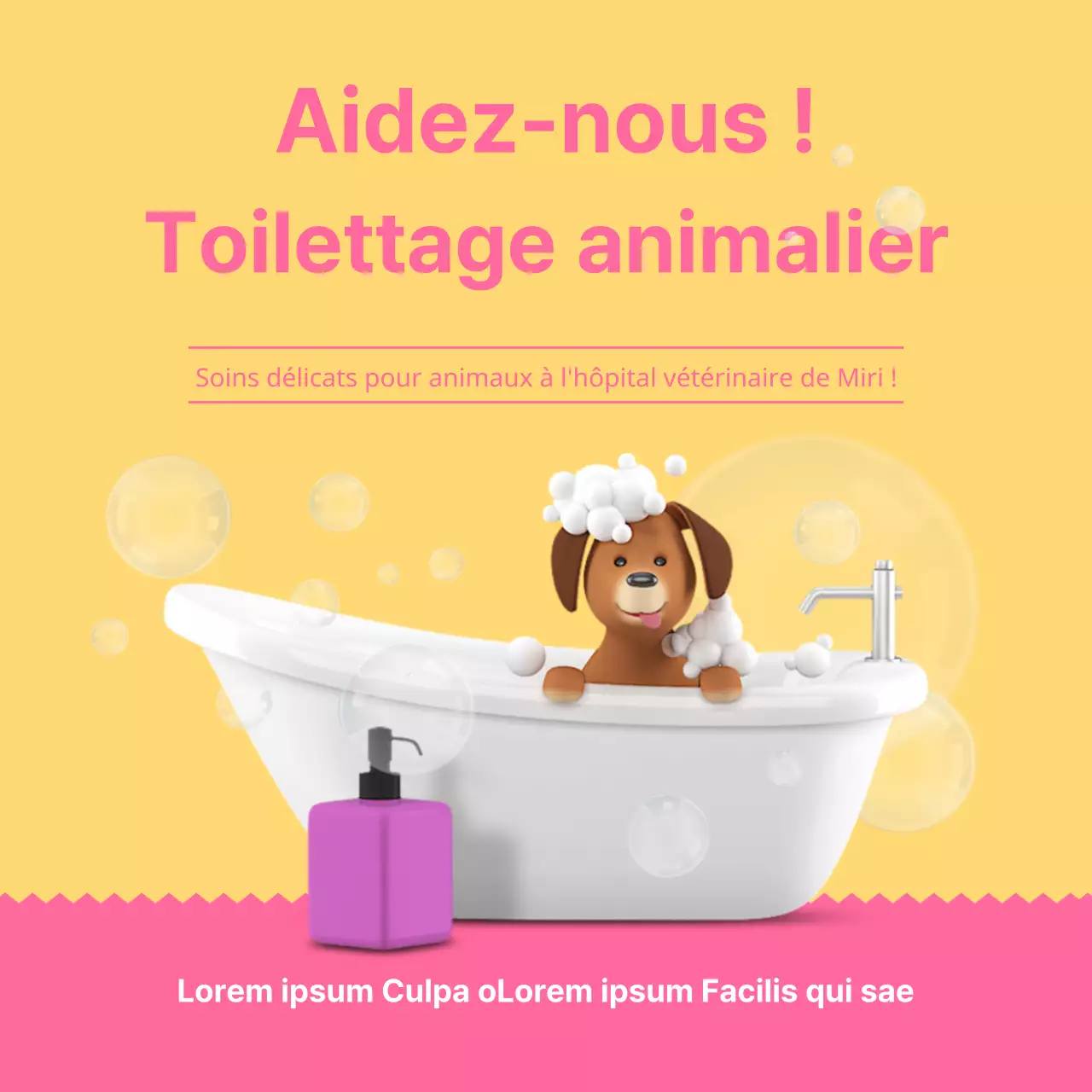 Baignade de l'animal