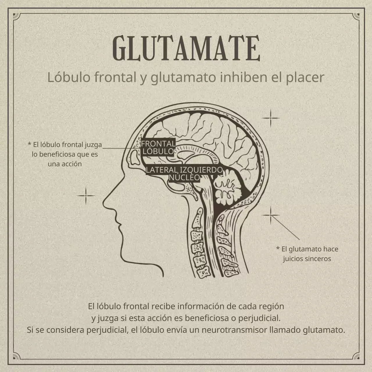 Neurociencia y pereza en un concepto de ilustración beige y realista