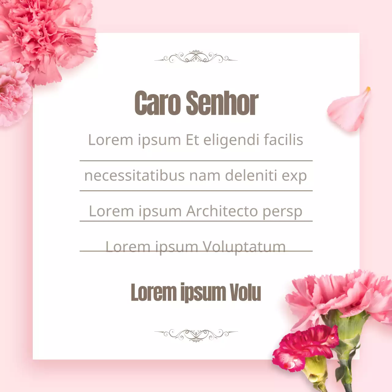 Cartas do Dia do Professor