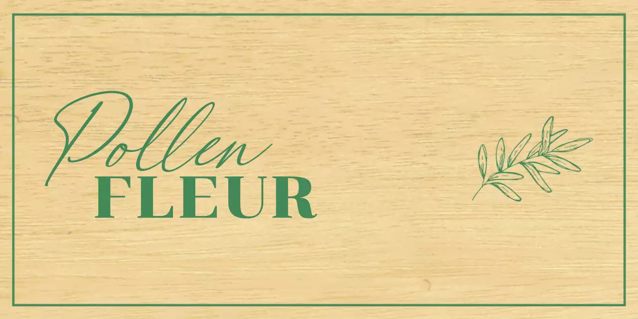 Conception d'un magasin de fleurs avec des illustrations botaniques vertes, esquissées à la main