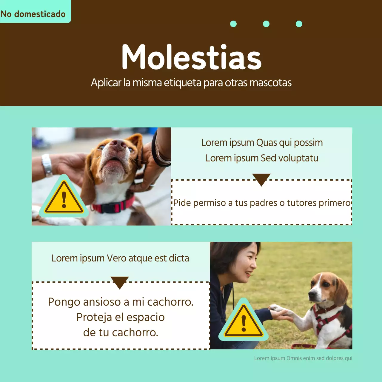 Billete informativo para mascotas en amarillo y bronce