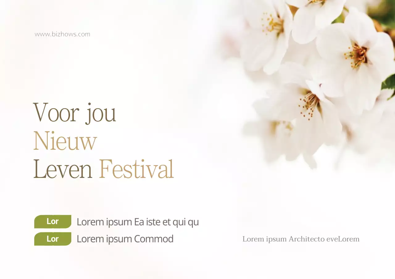 Nieuw Leven Festival