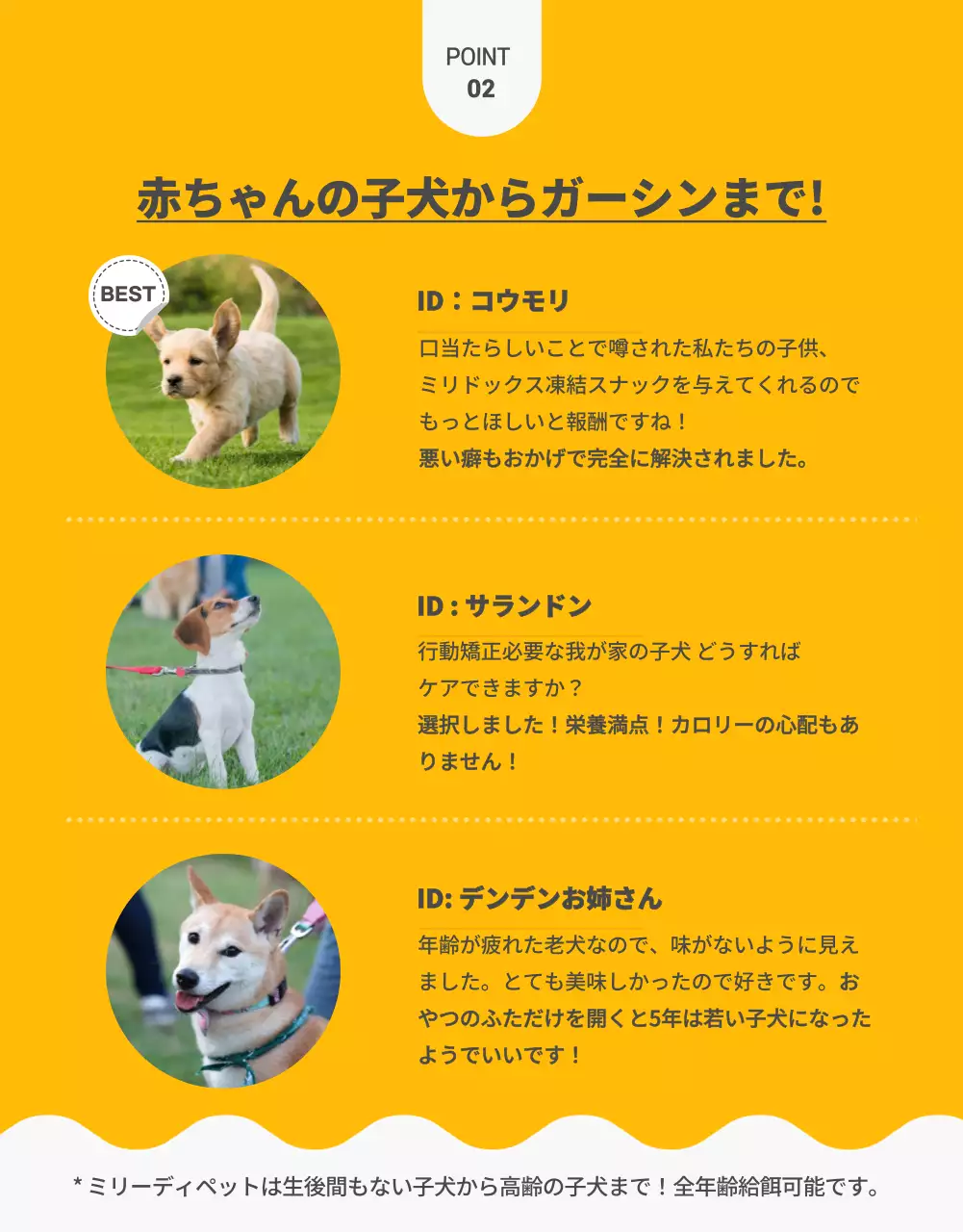 黄色 かわいい ペット パンフレット 詳細ページ