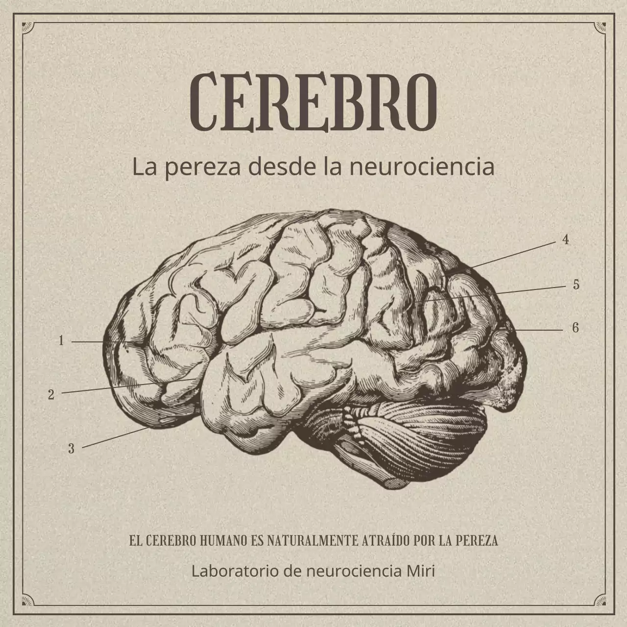 Neurociencia y pereza en un concepto de ilustración beige y realista