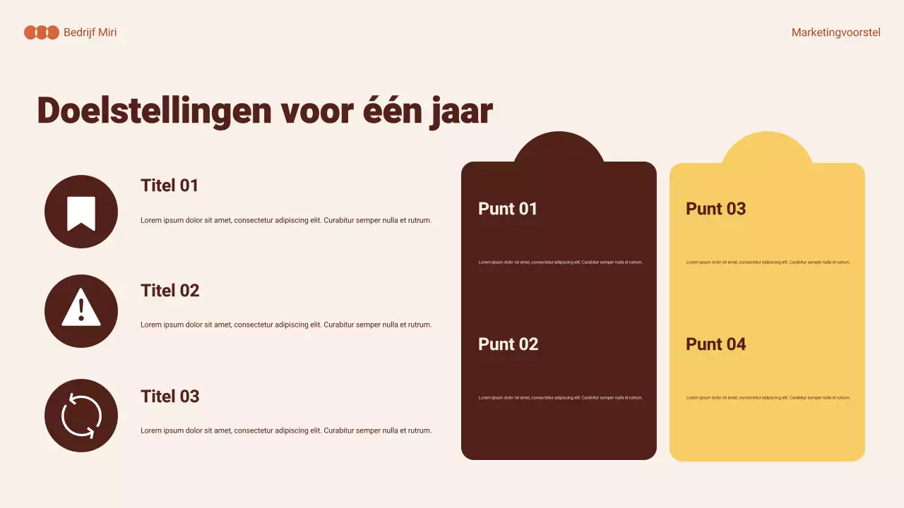 oranje samenvatting marketingdocument