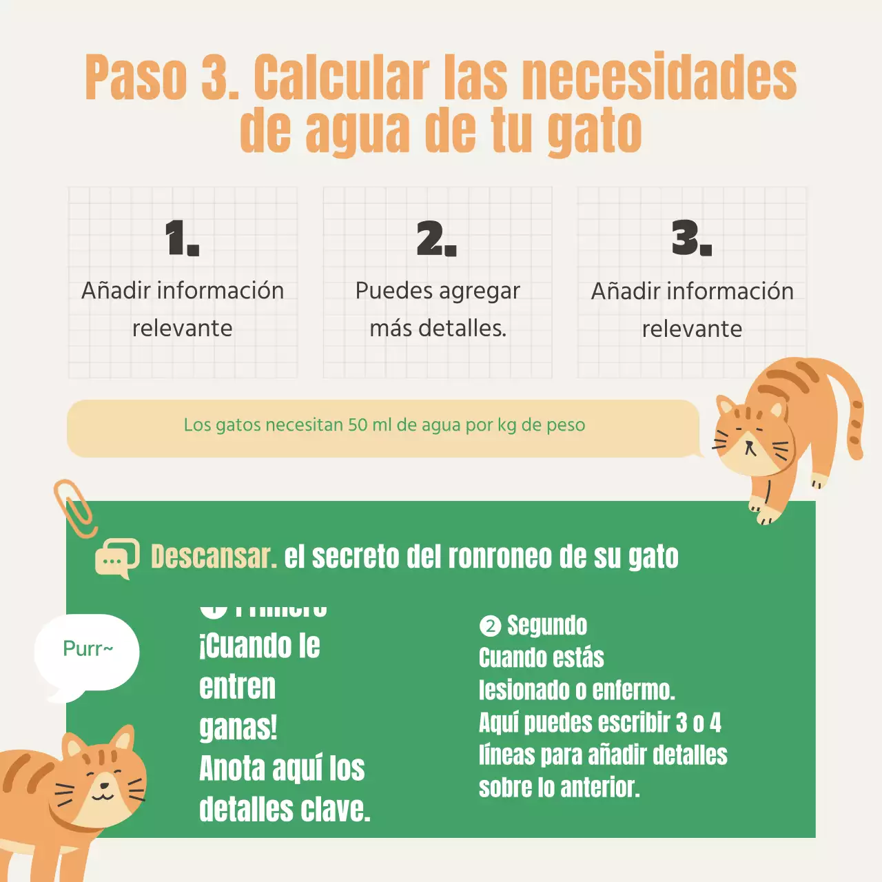 Sobre el examen de certificación de la caja de arena verde y naranja para gatitos