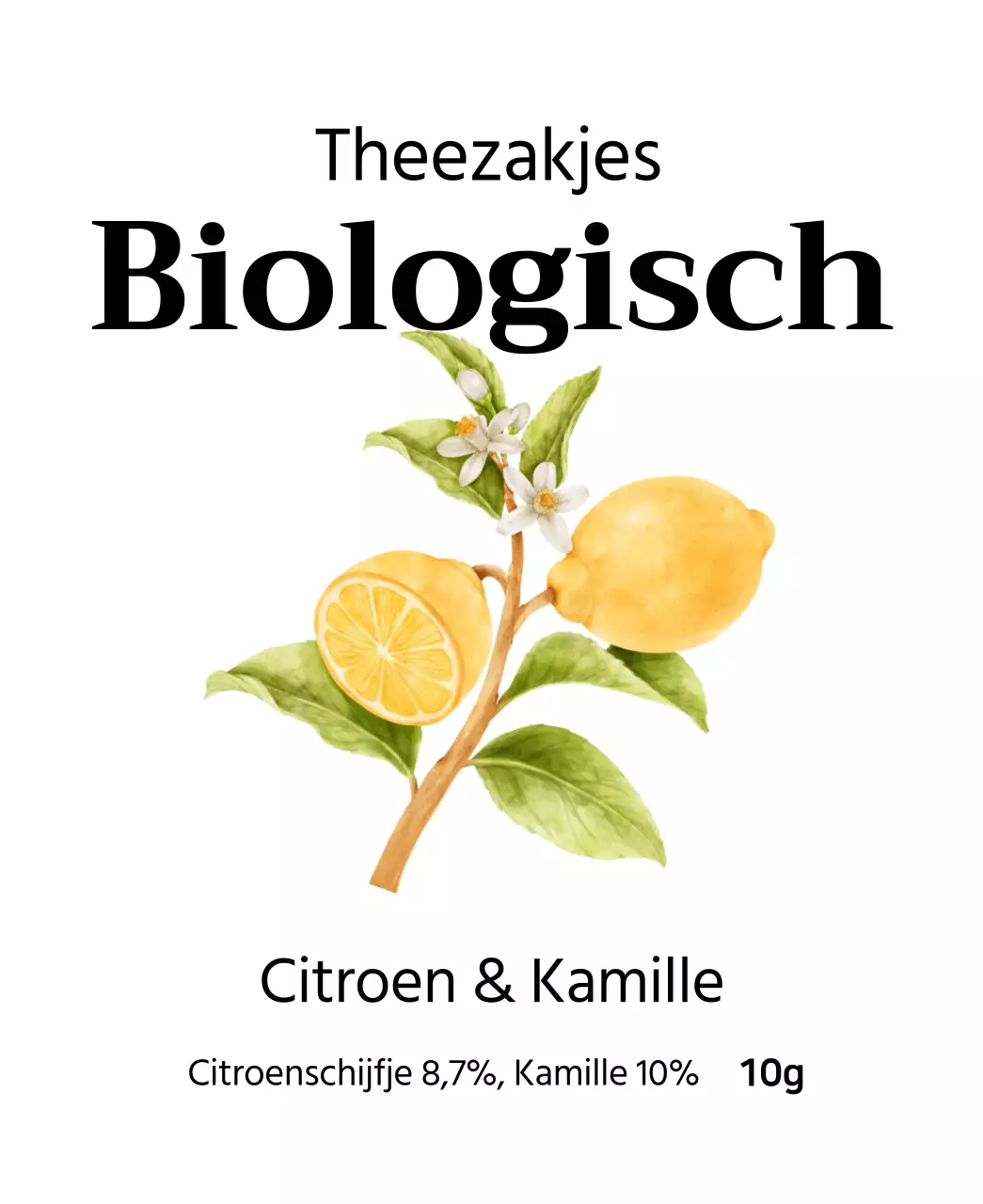 Biologische vruchtentheezakjes met aquarel fruitillustraties