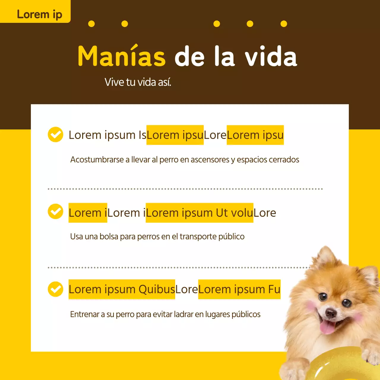 Billete informativo para mascotas en amarillo y bronce
