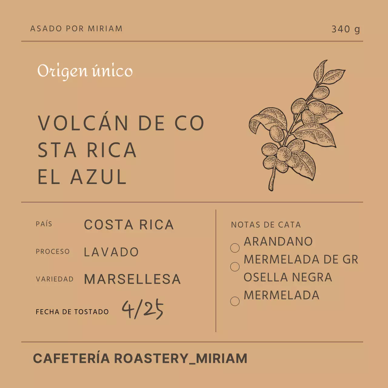 Adhesivo para envases de granos de café