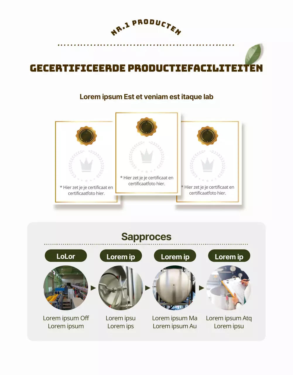 Een heldere, schone inleiding tot gezond sappen (detailpagina)