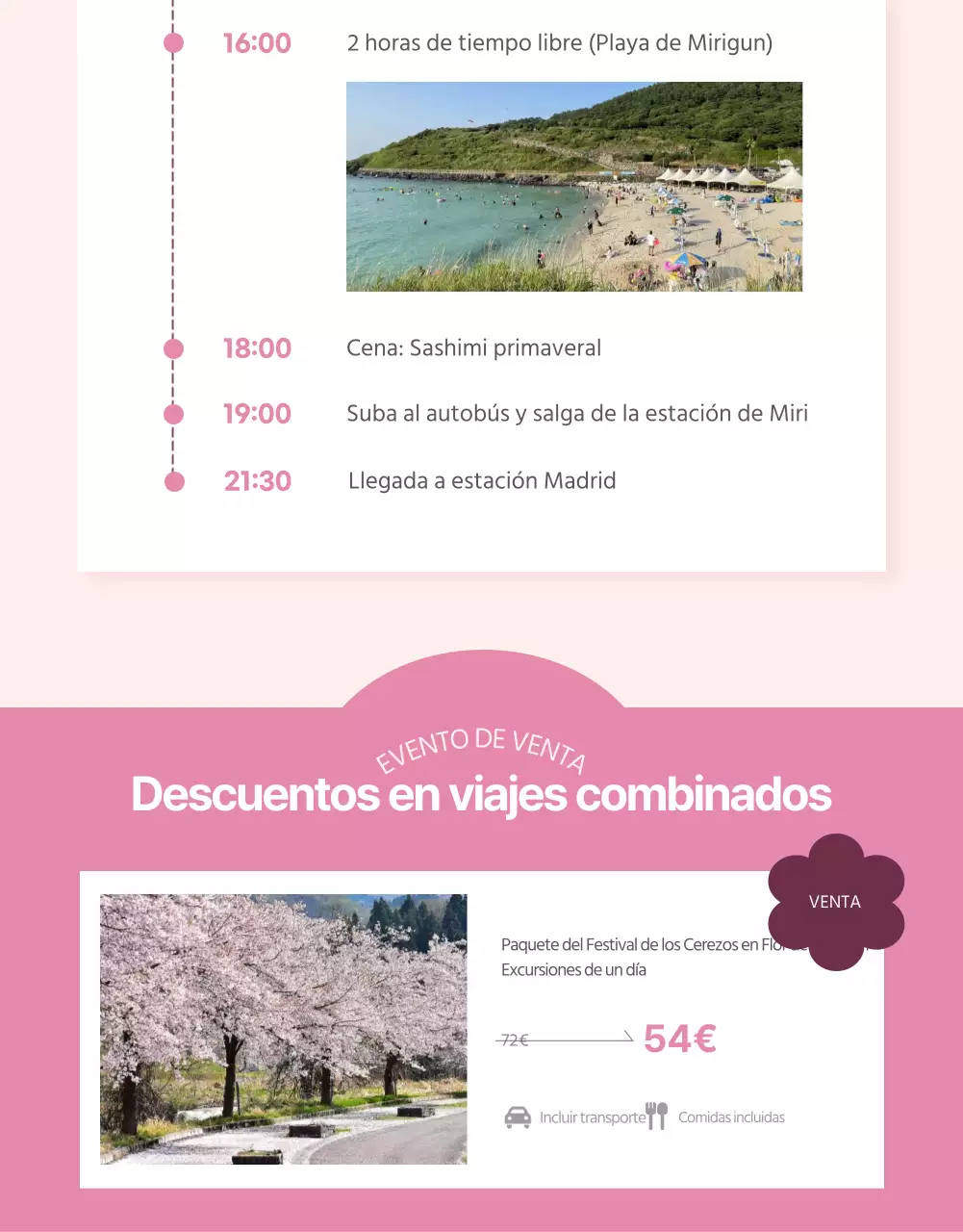 Promoción de las visitas guiadas a los cerezos en flor con un toque rosa
