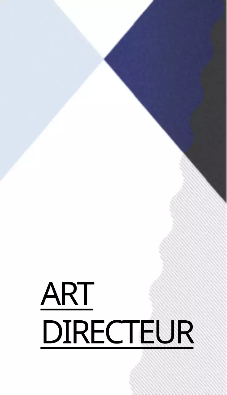 DIRECTEUR ARTISTIQUE