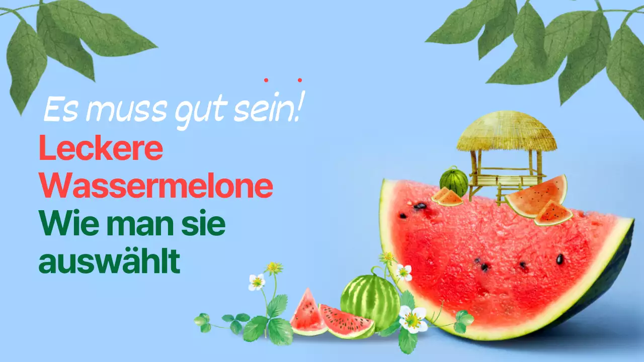 Wie man eine leckere Wassermelone pflückt Illustriert mit Blau und Wassermelone