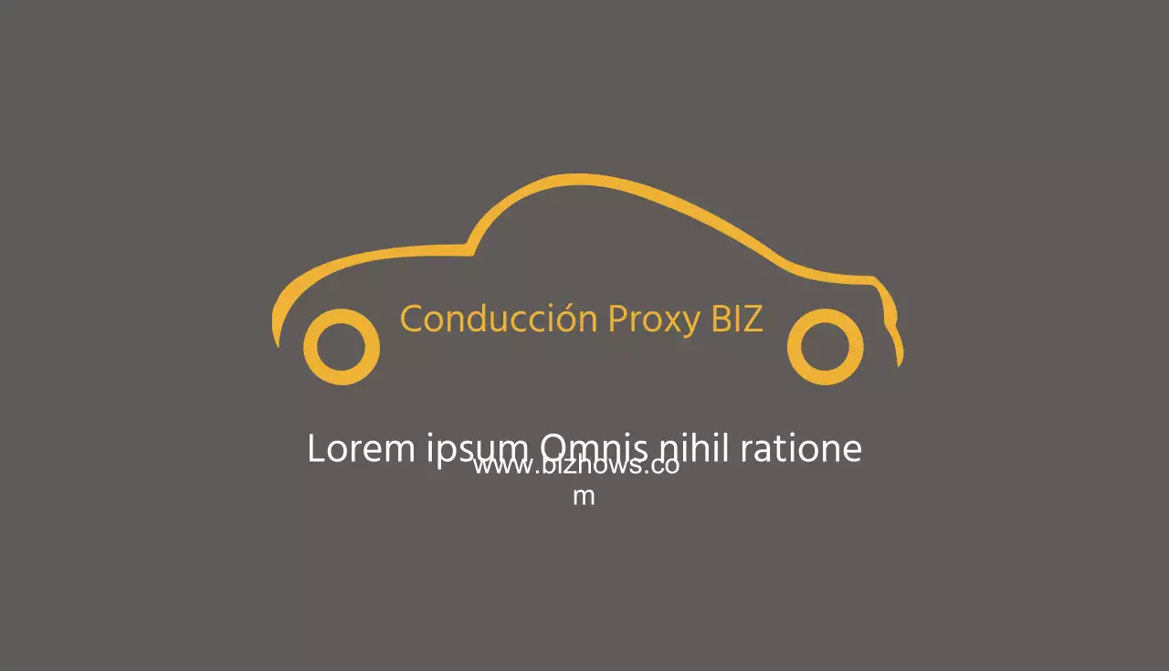 BIZ Proxy Driving
